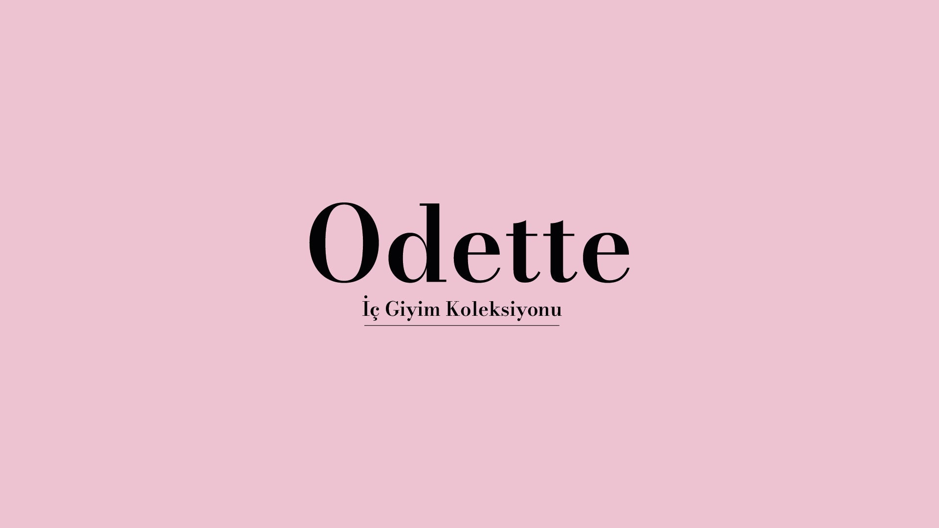 Kadın Sütyen Takımı